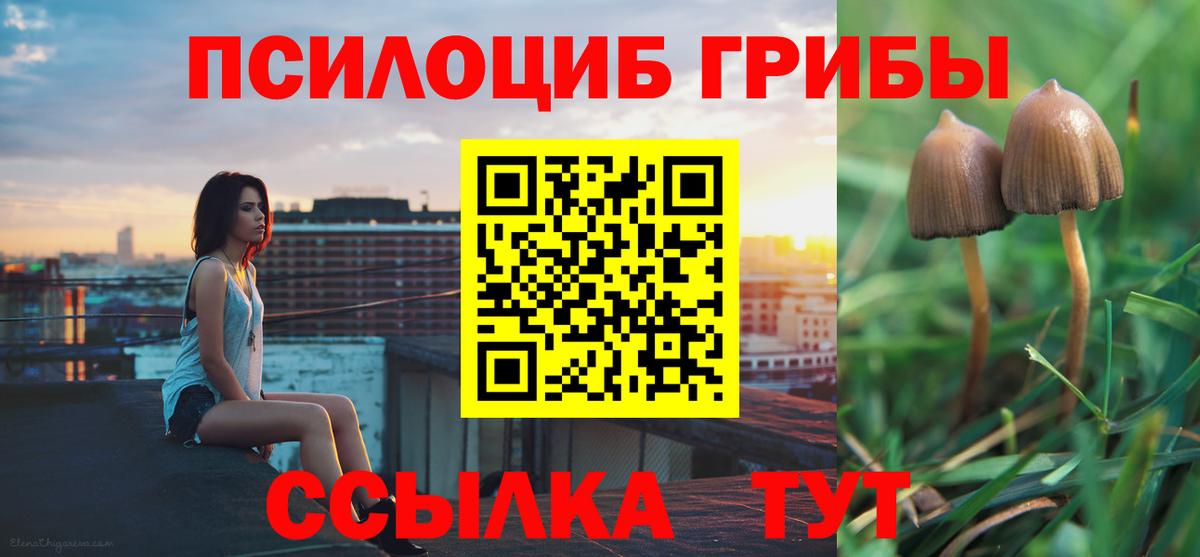 Псилоцибиновые грибы мицелий Георгиевск